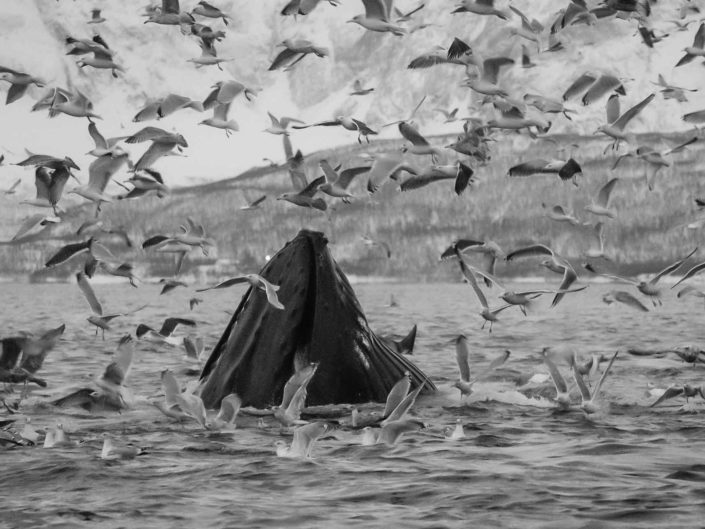 Feasting Together