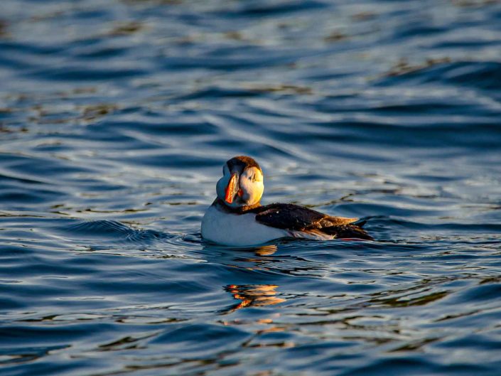 Meditation on Water